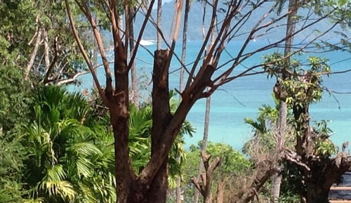 Deluxe Room with Ocean View 