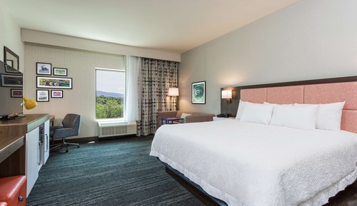 Zimmer, 1 King-Bett und Schlafsofa, Kühlschrank und Mikrowelle