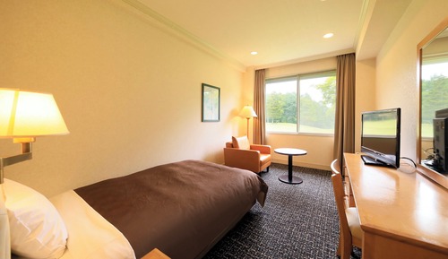 Zimmer (Run of House)