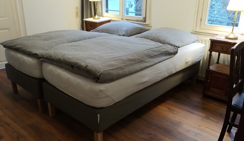 Panoramic-Apartment, 1 Schlafzimmer, Flussblick (cleaning fee included)