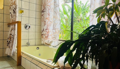 Junior-Suite, 1 King-Bett, Gartenblick