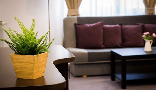 Superior-Studiosuite, 1 King-Bett und Schlafsofa, Gartenblick