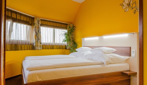 Standard-Suite