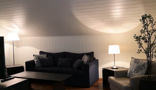 Deluxe-Suite, 1 Queen-Bett, Flussblick