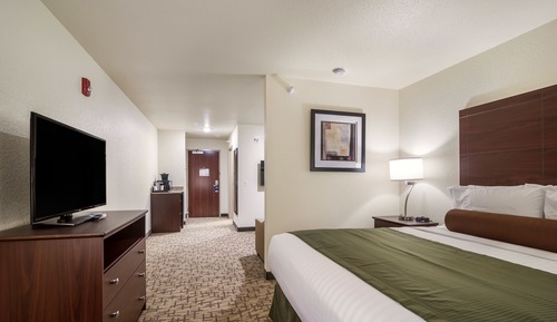 Studiosuite, 1 King-Bett und Schlafsofa, barrierefrei, Nichtraucher