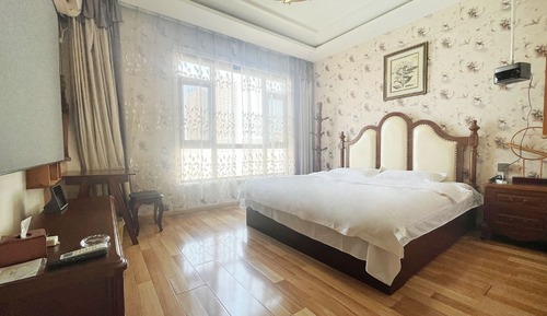 Giant Screen Projection Room