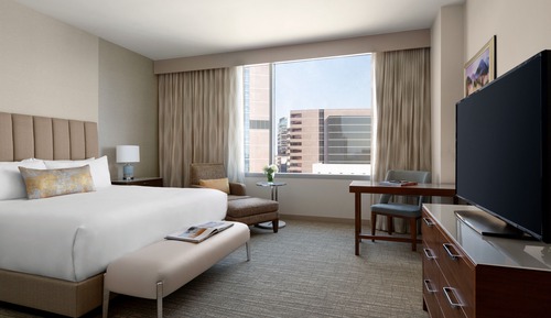 Suite, 1 King-Bett