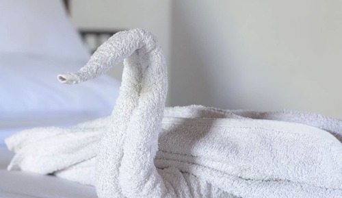 Luxury-Zelt, 2 Queen-Betten