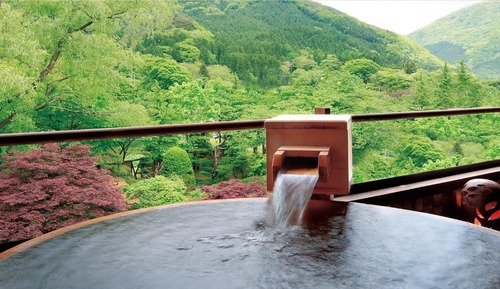 Traditional-Zimmer, Nichtraucher (Japanese Style Twin Hot Spring 316)