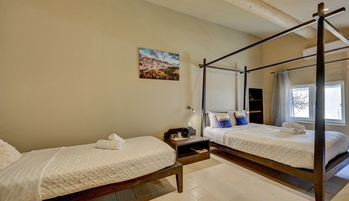 Superior-Dreibettzimmer, Gartenblick