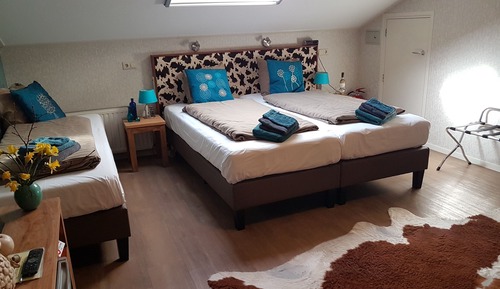 Familienzimmer, 2 Einzelbetten, Nichtraucher (Blaarkop)