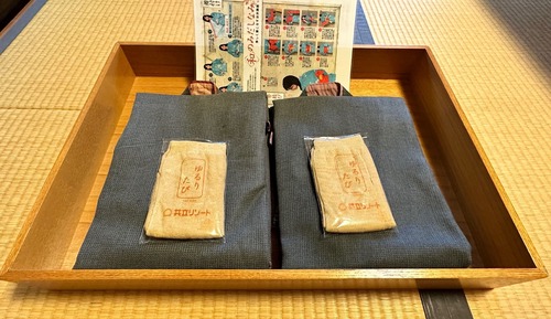 Zimmer, Nichtraucher, Flussblick (Standard Japanese Style)