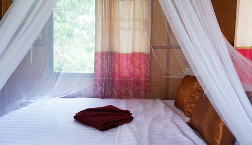 Standard-Einzelzimmer, 1 Schlafzimmer, Gartenblick