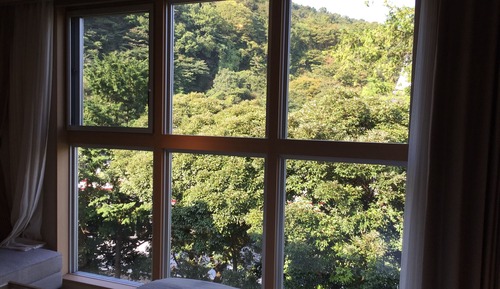 Zimmer, Raucher, Gartenblick (King Room)