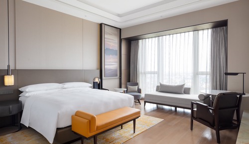 Presidential-Suite, 1 King-Bett