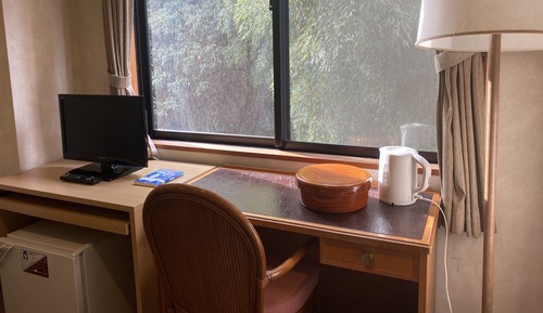 Business-Einzelzimmer, 1 Einzelbett, Bergseite