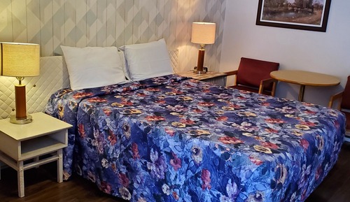 Suite, Haustiere nicht gestattet