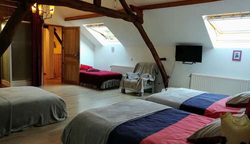 Familien-Vierbettzimmer, Nichtraucher, Gartenblick