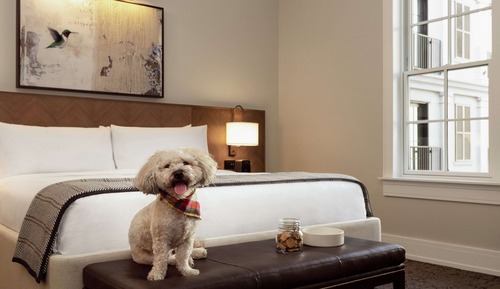 Zimmer, 1 King-Bett, barrierefrei (Roll-In Shower)