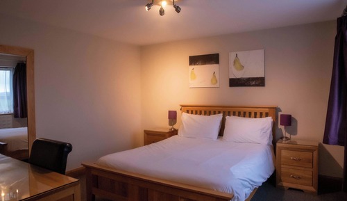 Executive-Doppelzimmer, 1 Doppelbett, Nichtraucher (Field View)