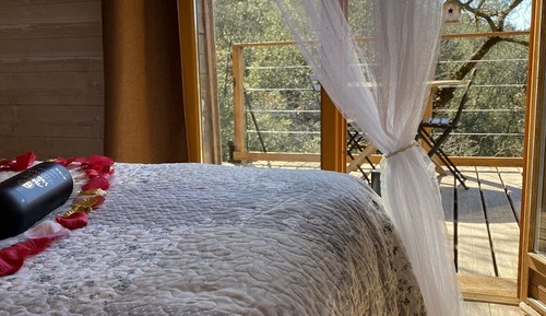 Panoramic-Ferienhütte, 1 Doppelbett, Nichtraucher, Hügelblick