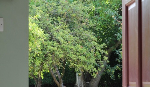 Standard Twin Room, 2 Single Beds, En-Suite Shower, Room Only