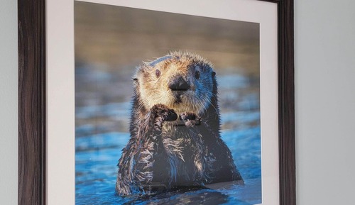 Deluxe-Zimmer, 1 King-Bett, Hafenblick (23, 27)