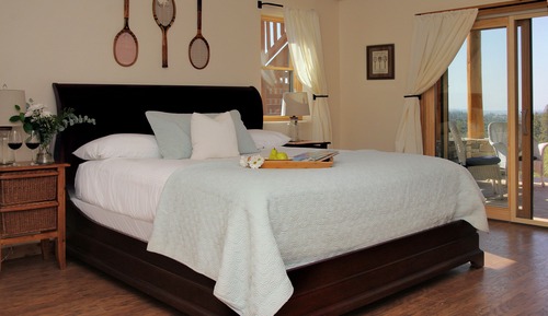 Premier-Einzelzimmer, 1 King-Bett, Nichtraucher, Talblick