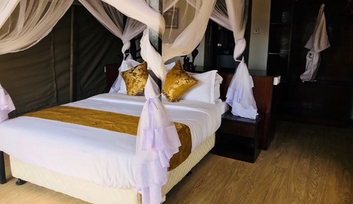 Luxury-Zelt, 1 Queen-Bett, Nichtraucher