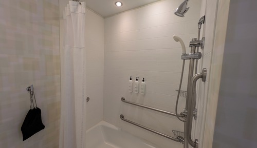 Studio, 1 King-Bett und Schlafsofa, Nichtraucher (Hearing Accessible)