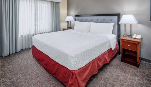 Suite, 1 Schlafzimmer