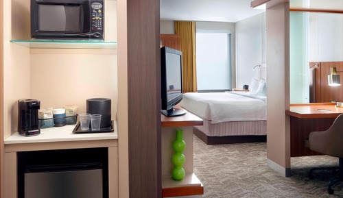 Suite, 1 King-Bett und Schlafsofa (Mobility/Hearing Access, Roll-In Shwr)