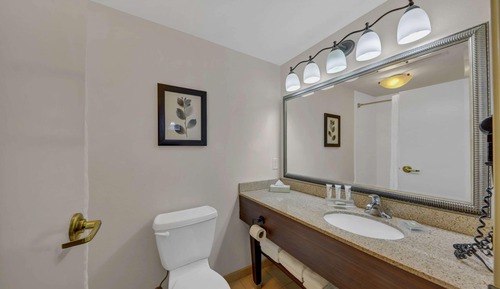 Studiosuite, 1 King-Bett und Schlafsofa, Nichtraucher