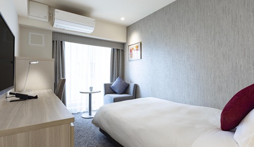 Standard-Einzelzimmer, 1 Schlafzimmer, Nichtraucher (Moderate)