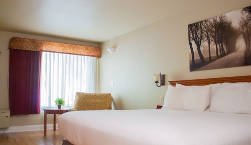 Zimmer (One King with Shower)