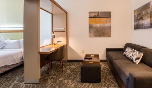 Suite, 1 King-Bett und Schlafsofa (Hearing Accessible)
