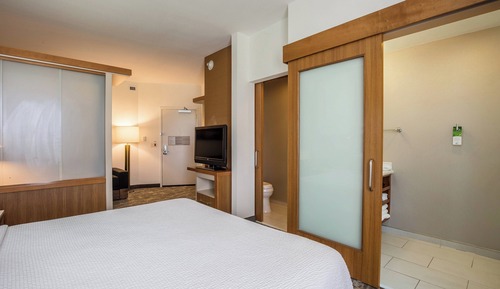 Suite, 1 King-Bett und Schlafsofa