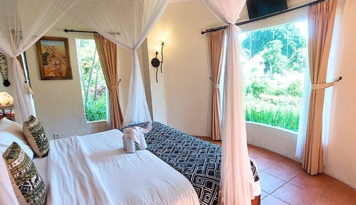 Swala Deluxe Room + Bali Safari Entrance & Safari Journey