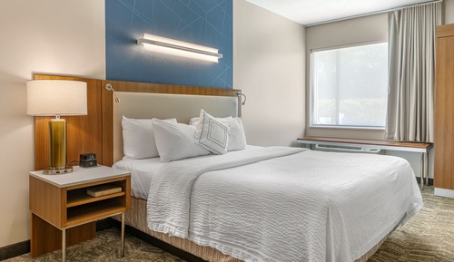 Studio, 1 King-Bett und Schlafsofa, Nichtraucher (Mobility/Hearing Access, Roll-in Shwr)