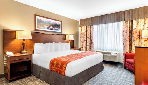 Suite, 1 King-Bett, barrierefrei, Kamin (Pet Friendly;with Sofabed)