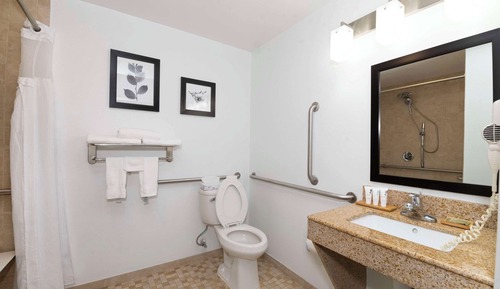 Zimmer, 1 King-Bett, barrierefrei, Nichtraucher (Roll-in Shower)