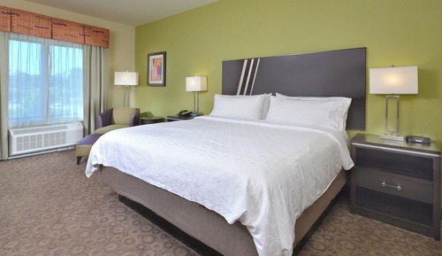 Standardzimmer, 1 King-Bett, barrierearme Badewanne (Communications, Mobility)