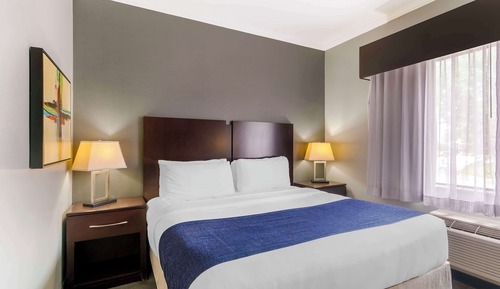 Standardzimmer, 1 King-Bett, barrierefrei, Kühlschrank und Mikrowelle (Living Room)