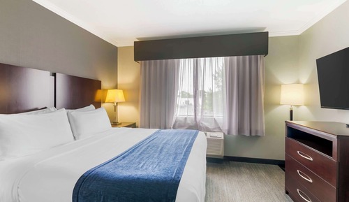 Standardzimmer, 1 King-Bett, Nichtraucher, Kühlschrank und Mikrowelle (Living Room)