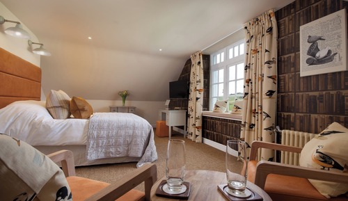 Superior-Zimmer, 1 King-Bett