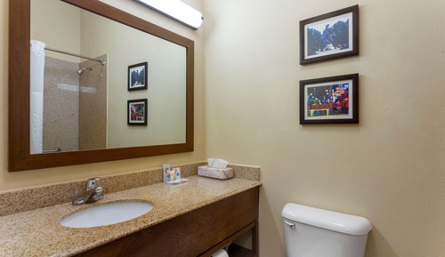 Suite, 1 King-Bett und Schlafsofa, Nichtraucher (1 person Sofa Bed)