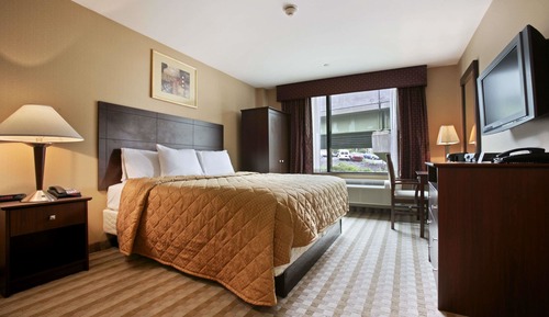 Zimmer, 1 Queen-Bett