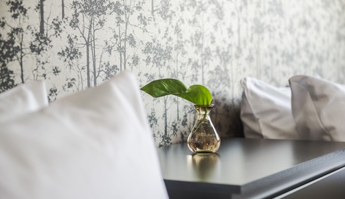 Standard-Doppelzimmer, 1 Queen-Bett