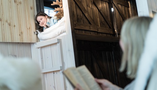 Arctic Treehouse Suite Double (Extra bed) and View