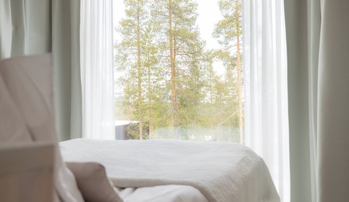 Arctic Treehouse Suite Double and View